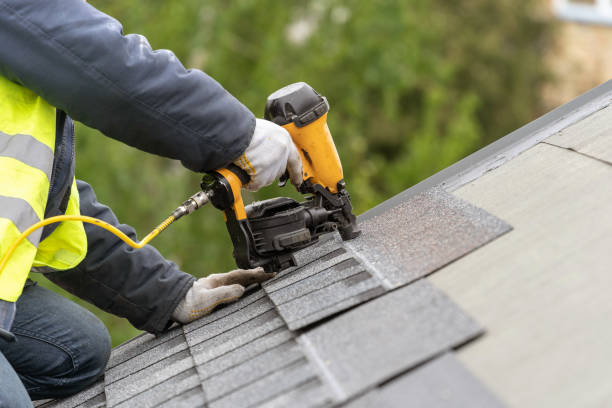 Best Solar Panel Roofing Installation  in Woodbridge, VA