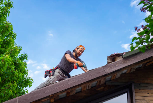 Best Skylight Installation and Repair  in Woodbridge, VA