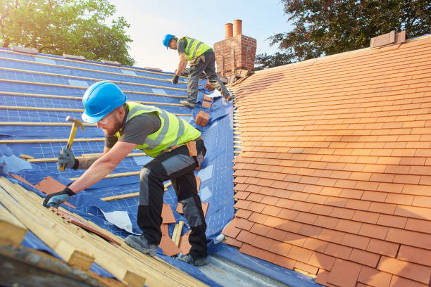 Best Roof Insulation Installation  in Woodbridge, VA